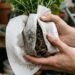 A técnica de salvamento mais eficiente sobre como salvar plantas afogadas usando o papel-toalha