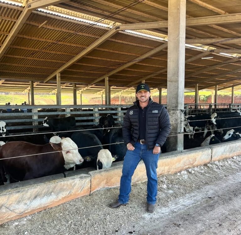 Falhas no manejo de bovinos podem gerar prejuízos de milhares a pecuaristas