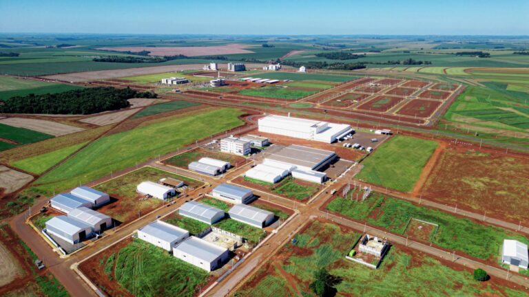 Biopark aposta em 100 mil bolsas para impulsionar economia no interior do PR