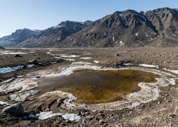 Por que a lagoa salgada da Antártida quase não congela