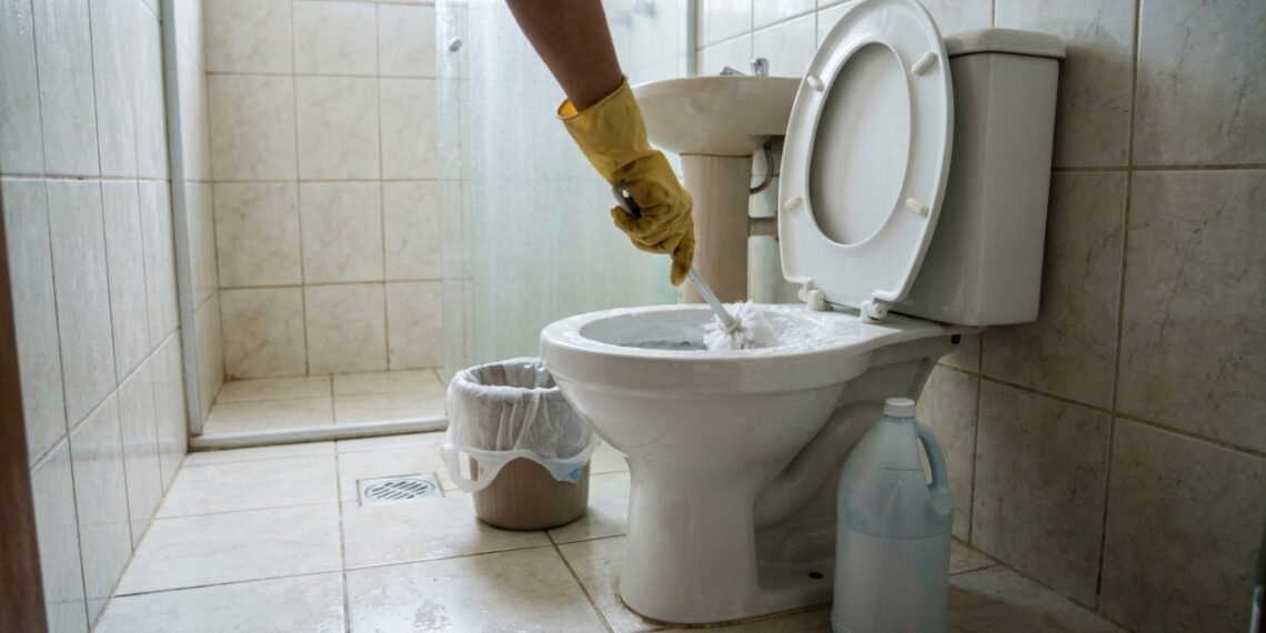A limpeza correta do vaso sanitário