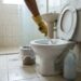 A limpeza correta do vaso sanitário