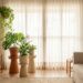 Plantas de interior em vasos decorativos próximas a uma janela com cortinas translúcidas que filtram a luz natural.