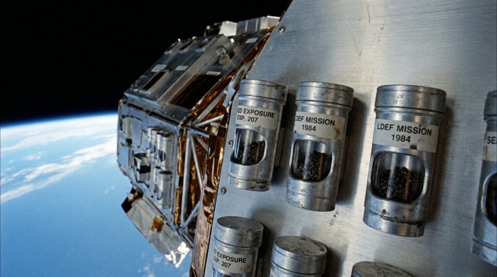 Sementes de tomate armazenadas em recipientes experimentais associados à missão espacial LDEF da NASA.