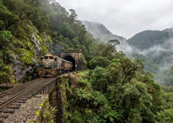 Trem ferroviário saindo de um túnel escavado na rocha em meio à Serra do Mar paranaense.