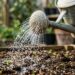 Semeou relva em placas ou sementes e o solo começou a criar uma crosta dura como cimento? O choque do jato de água forte destruiu a germinação
