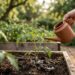 Regar as plantas novas usando o jato forte da mangueira desenterra as raízes sem você perceber e deixa o vegetal vulnerável à desidratação