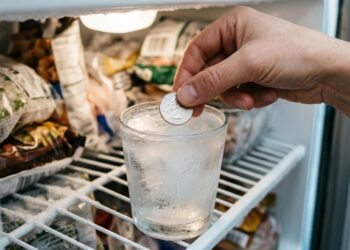 A técnica de prevenção mais eficiente sobre como o truque da moeda na geladeira salva seus alimentos do lixo