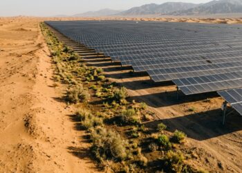 Painéis solares no deserto chinês criam áreas sombreadas com solo mais úmido e vegetação rasteira.