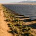Painéis solares no deserto chinês criam áreas sombreadas com solo mais úmido e vegetação rasteira.